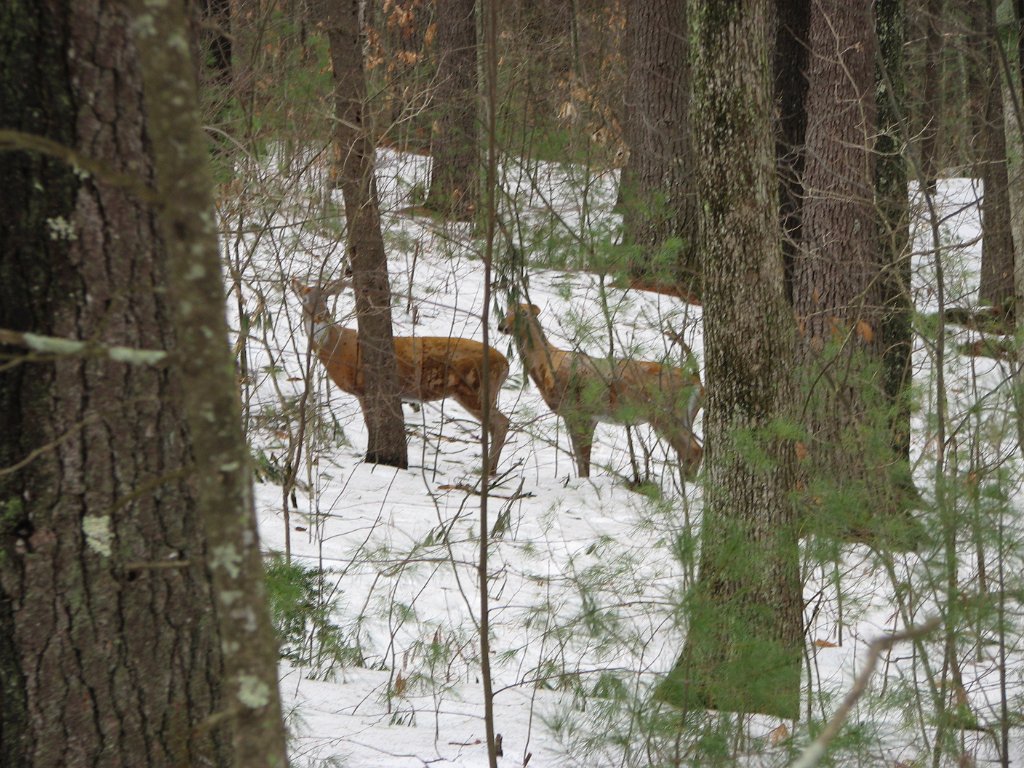 IMG_2500