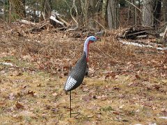 IMG_2472