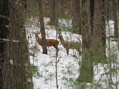 IMG_2500